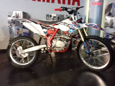  Altre moto o tipologie Pitbike nuova