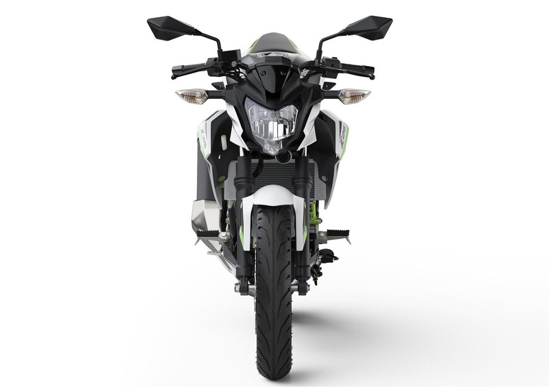 Kawasaki Z 125 Z 125 (2019 - 20) (2)