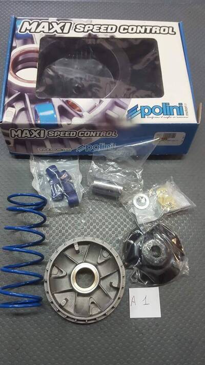 VARIATORE POLINI KYMCO AGILITY LIKE PEOPLE MALAGUT Polini Motori