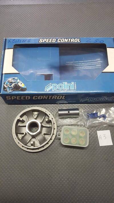 VARIATORE POLINI PER KYMCO B&amp;W GRAND DINK PEOPLE X Polini Motori