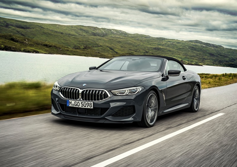 BMW Serie 8 Cabrio (2018-->>) (7)