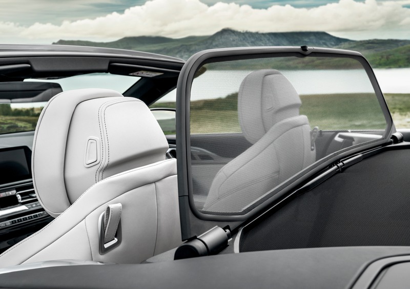 BMW Serie 8 Cabrio (2018-->>) (14)