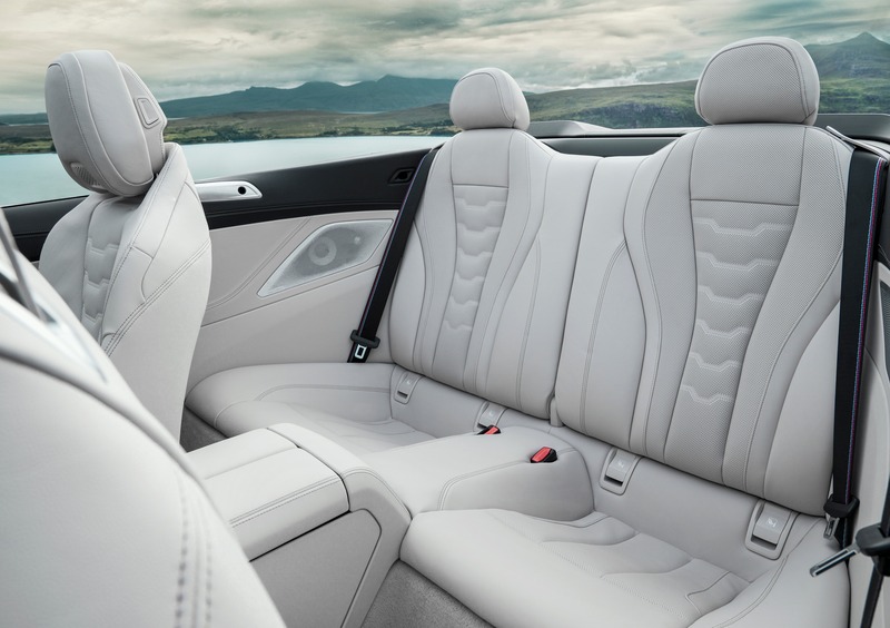 BMW Serie 8 Cabrio (2018-->>) (13)