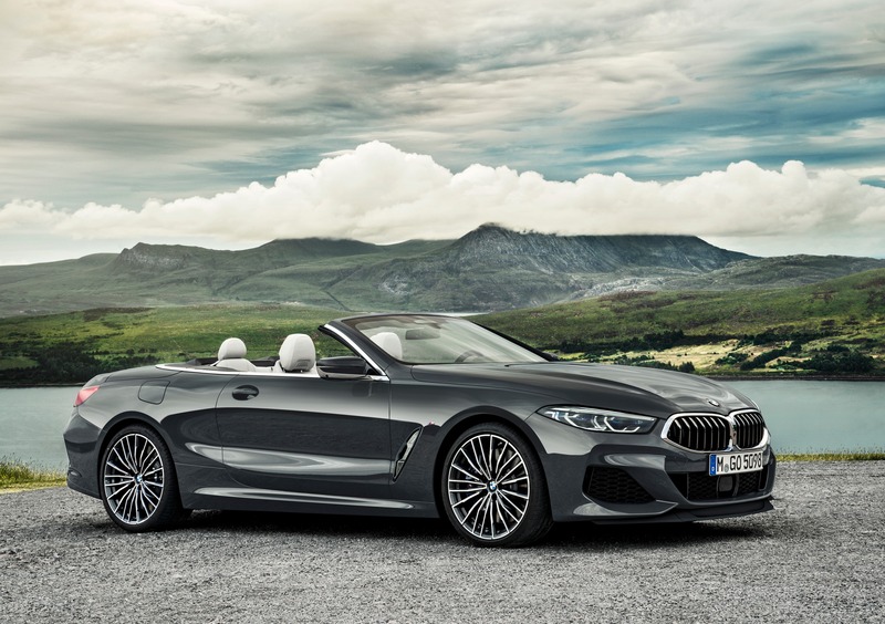 BMW Serie 8 Cabrio (2018-->>) (8)