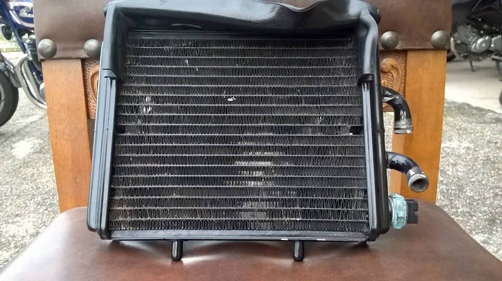 Radiatore Aprilia (8)