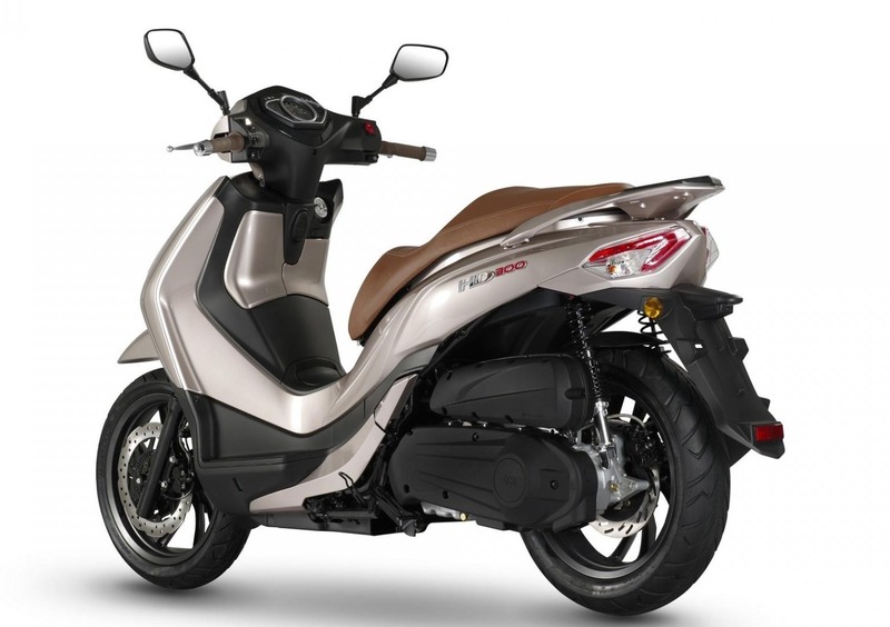 Sym HD 300 HD 300 (2019 - 20) (8)