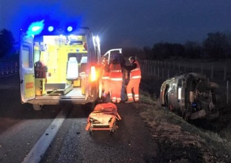 Tenta di salvare il gufo ferito, ma viene investita da un&#039;auto