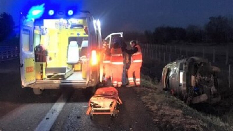 Tenta di salvare il gufo ferito, ma viene investita da un&#039;auto