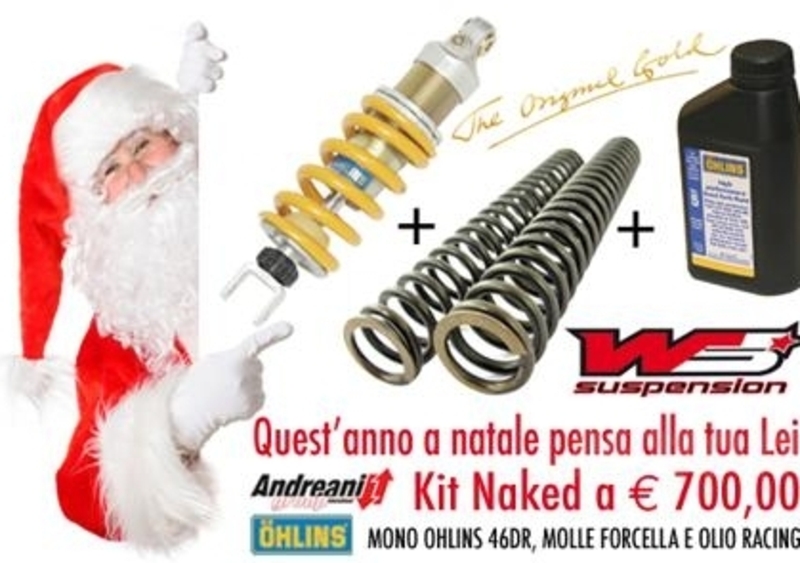 Kit &Ouml;hlins da WS Suspension