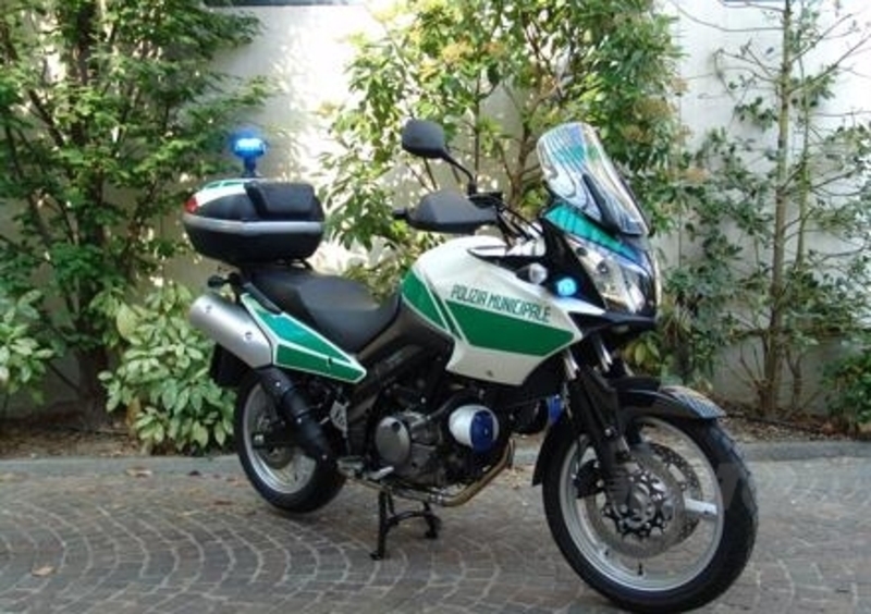 La Suzuki V-Strom in divisa