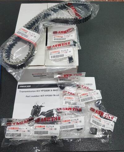 Trimboli Moto KITYP300SER2 KIT TRASMISSIONE YAMAHA