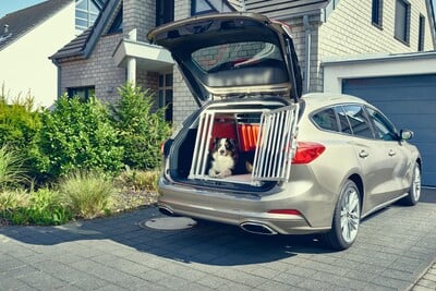 Ford Focus Wagon, progettata (anche) per la sicurezza dei cani