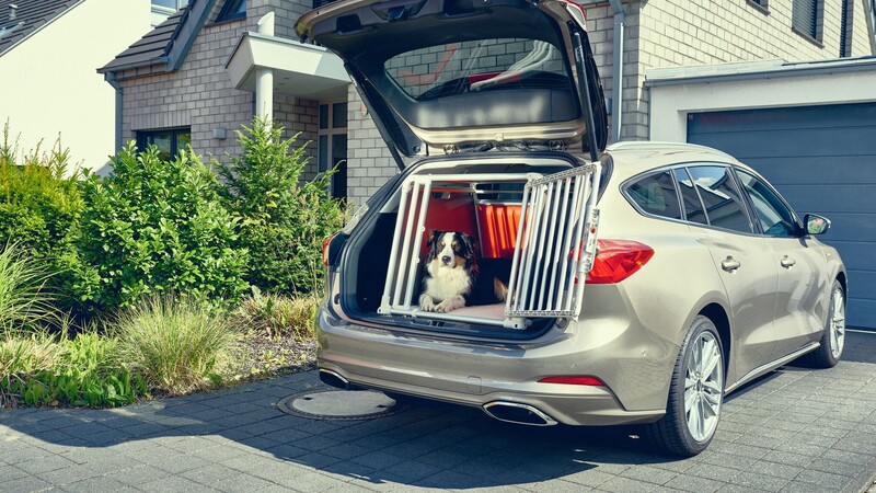 Ford Focus Wagon, progettata (anche) per la sicurezza dei cani