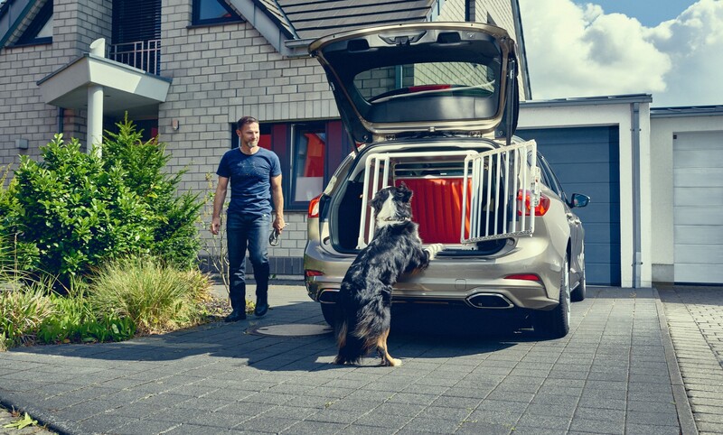 Per molte persone, il cane &egrave; un membro della famiglia