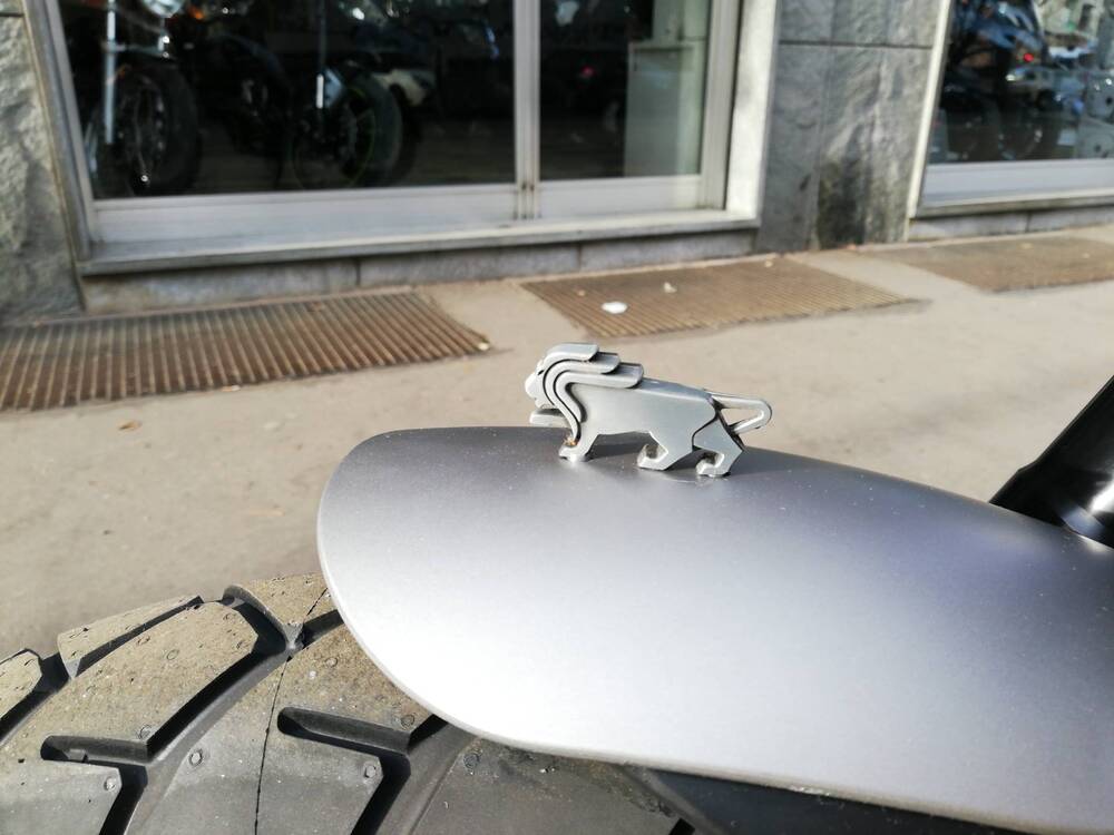 Benelli Leoncino 500 Trail (2021 - 25) (10)