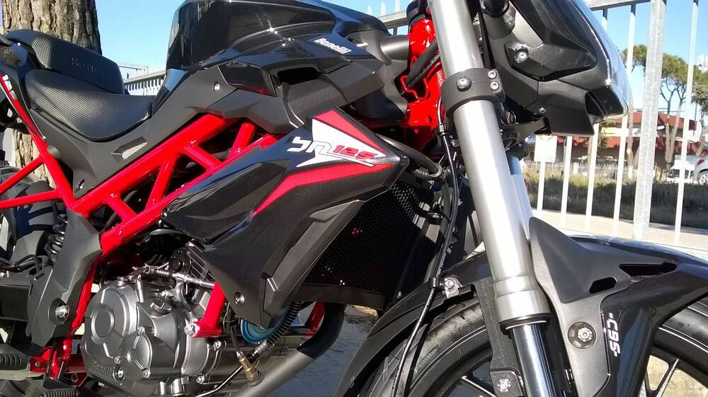 Benelli BN 125 (2021 - 25) (8)