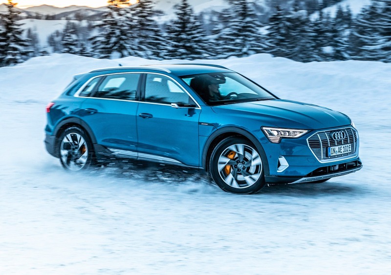 Audi e-tron (2019-22) (26)