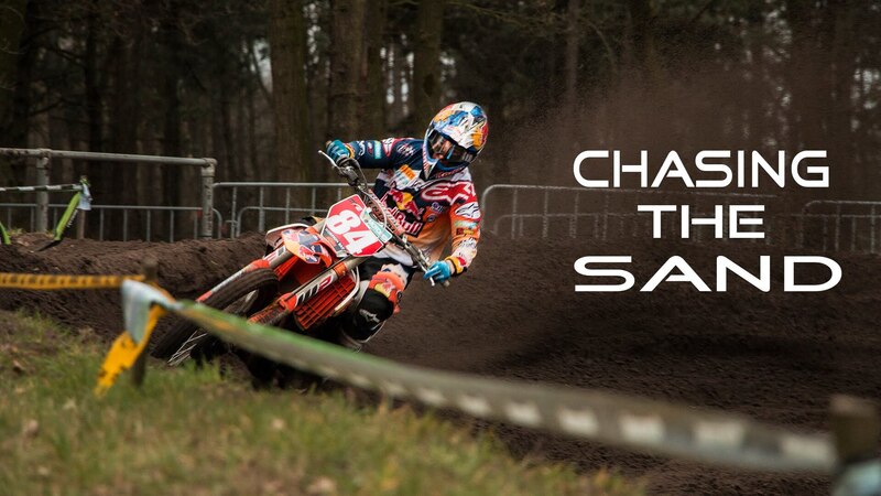 Herlings sulla sabbia a Boekel