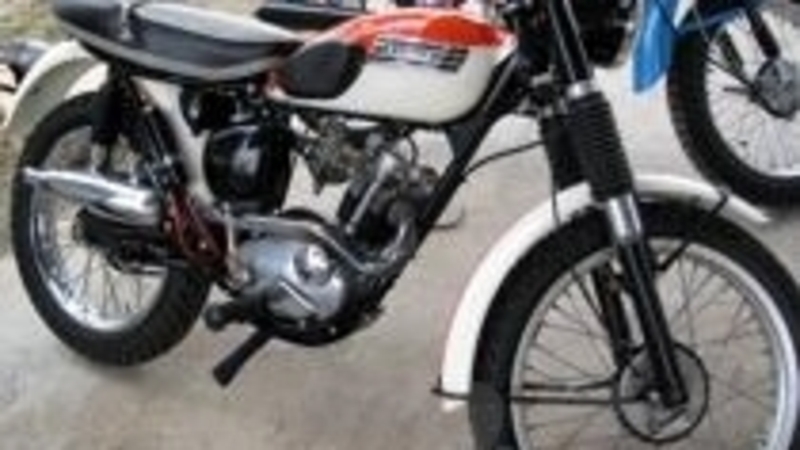 Triumph risfodera  la Cub?