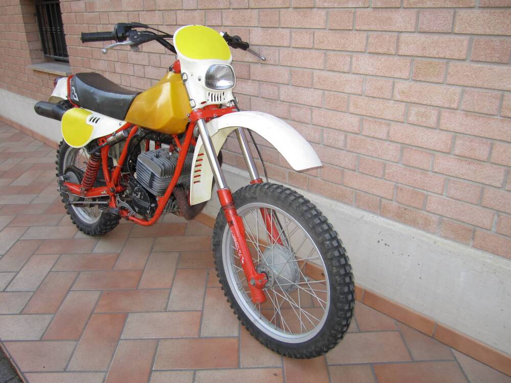 Puch Frigerio F3 250 GS  (3)