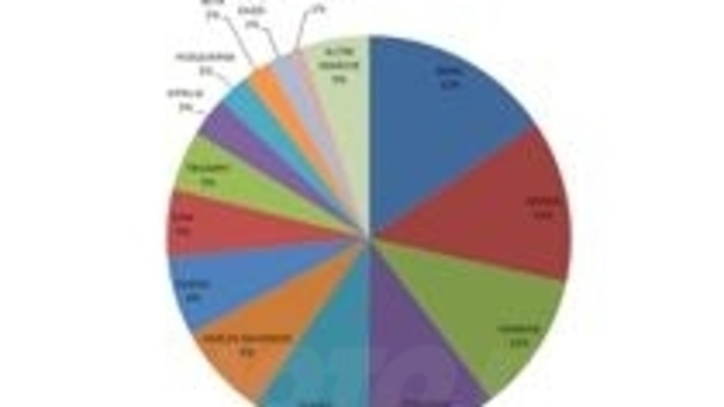 Mercato Italia 2010: i risultati delle Aziende