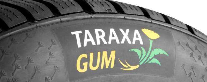 Pneumatici Eco per davvero? Taraxagum, le gomme per auto con &ldquo;radici&rdquo; di Tarassaco