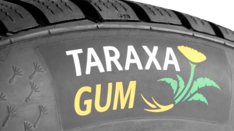 Pneumatici Eco per davvero? Taraxagum, le gomme per auto con &ldquo;radici&rdquo; di Tarassaco