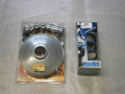 KIT VARIATORE MALOSSI VARIATORE MALOSSI SRV 850+MOLLA CONTRASTO POLINI