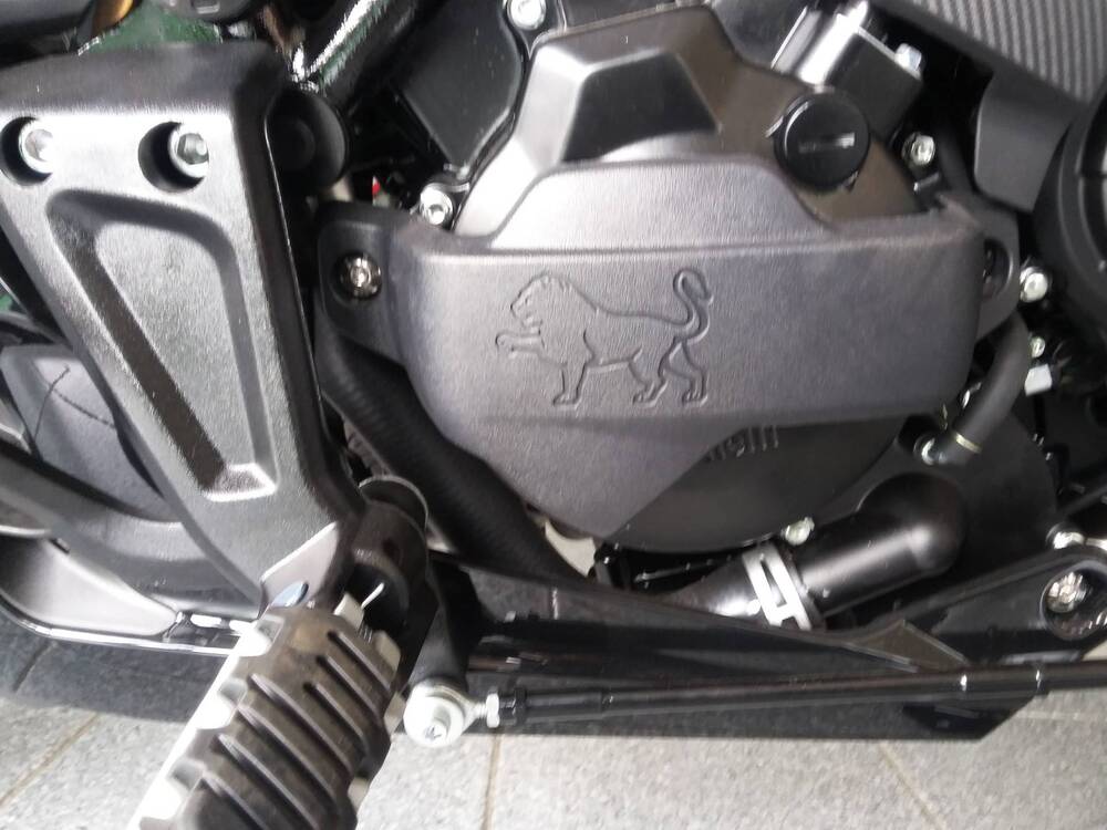 Benelli 502 C (2021 - 25) (6)