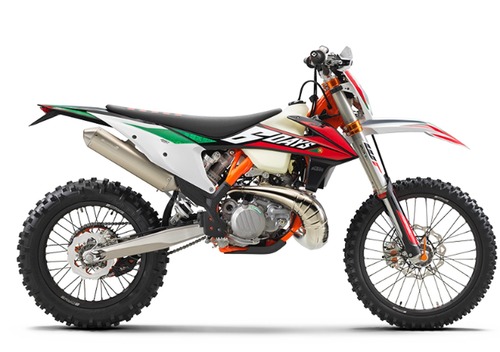 KTM 250 EXC TPI Six Days (2020)