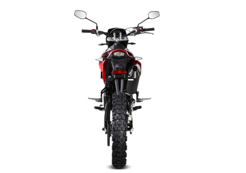 Malaguti XTM 125 XTM 125 (2019 - 20) (4)