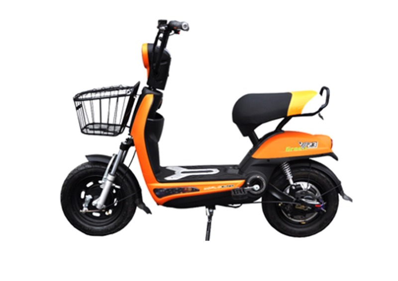 Green23 EB 42 EB 42 (2019)