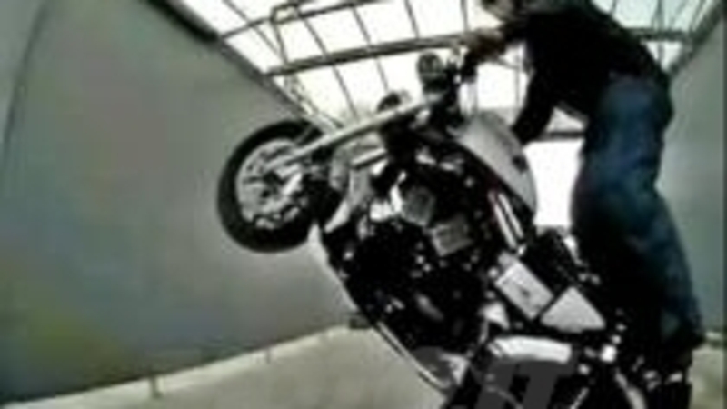 Fare stunt con una Harley Davidson