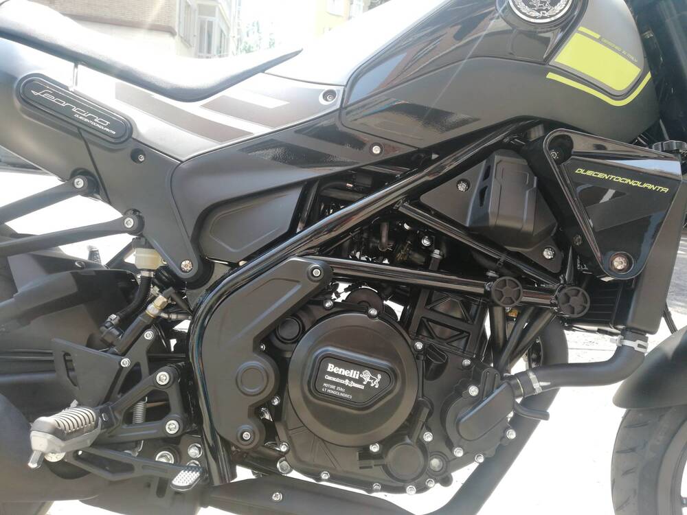 Benelli Leoncino 250 (2021 - 25) (12)