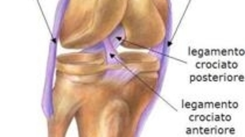 In moto in salute: la lesione del legamento crociato anteriore