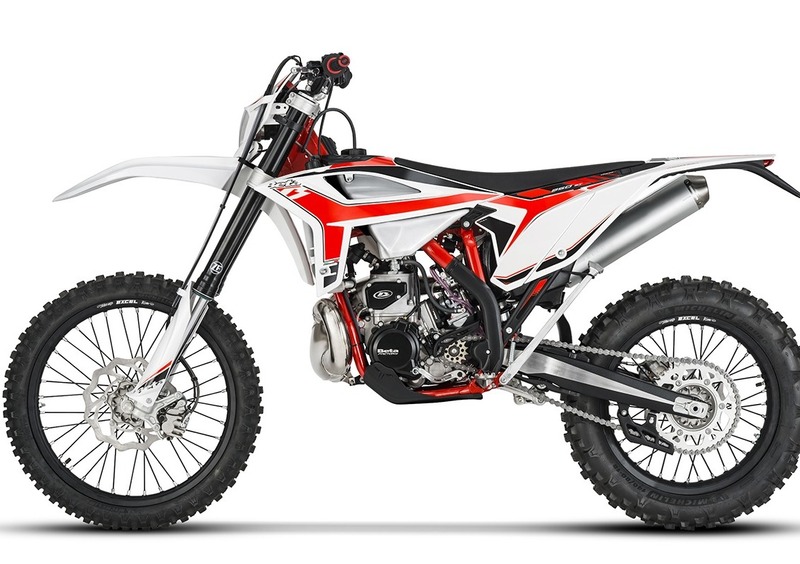 Betamotor RR 250 2T RR 250 2T Enduro (2020) (3)