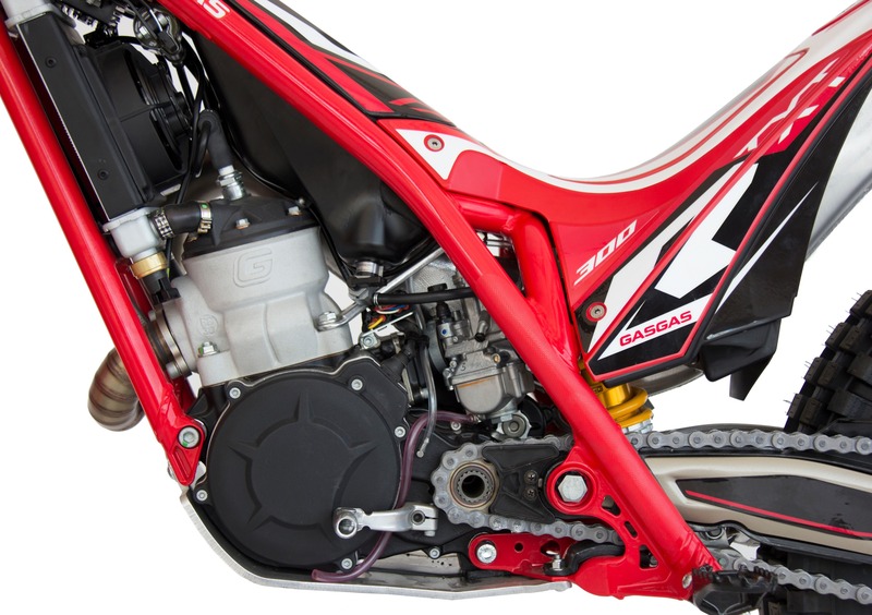 GASGAS TXT 125 TXT 125 Racing (2019 - 20) (15)