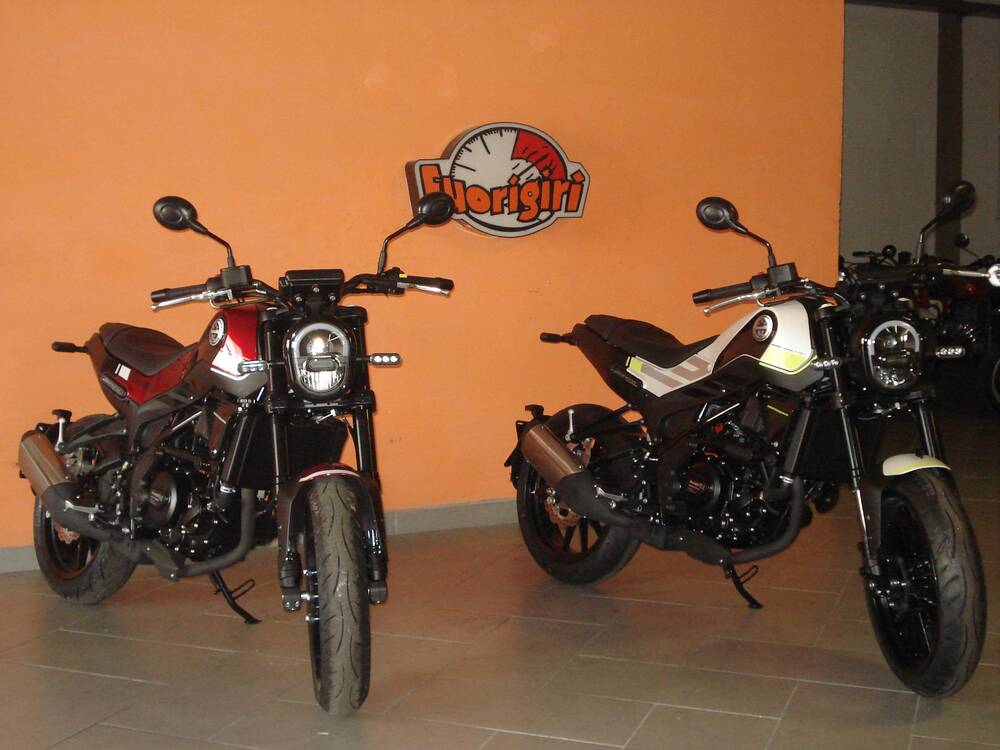 Benelli Leoncino 250 (2021 - 25) (9)