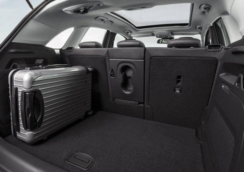 Fiat 500L (2017-21) (14)