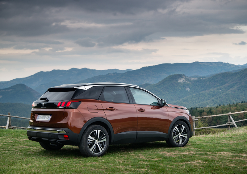 Peugeot 3008 (2016-24) (26)