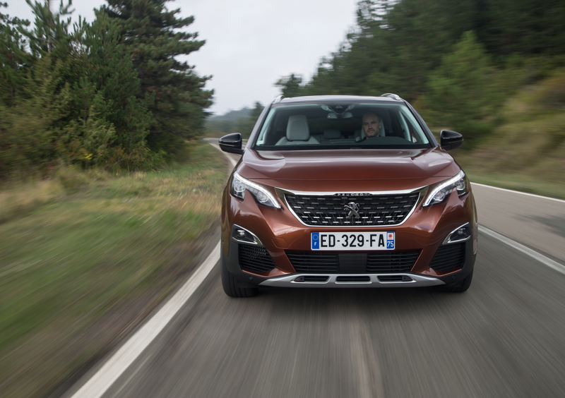 Peugeot 3008 (2016-24) (25)