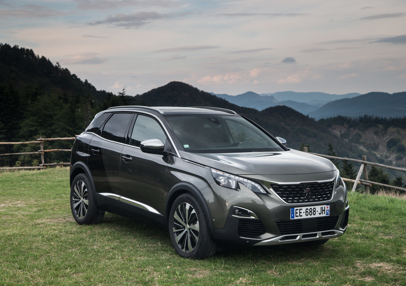 Peugeot 3008 (2016-24) (45)