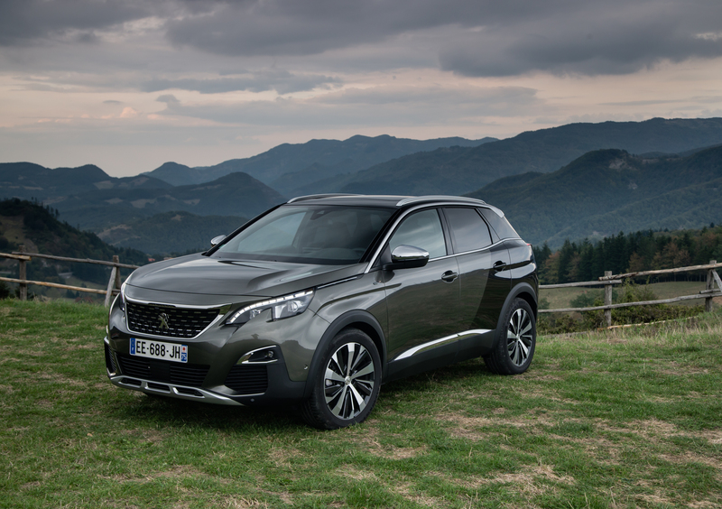 Peugeot 3008 (2016-24) (47)