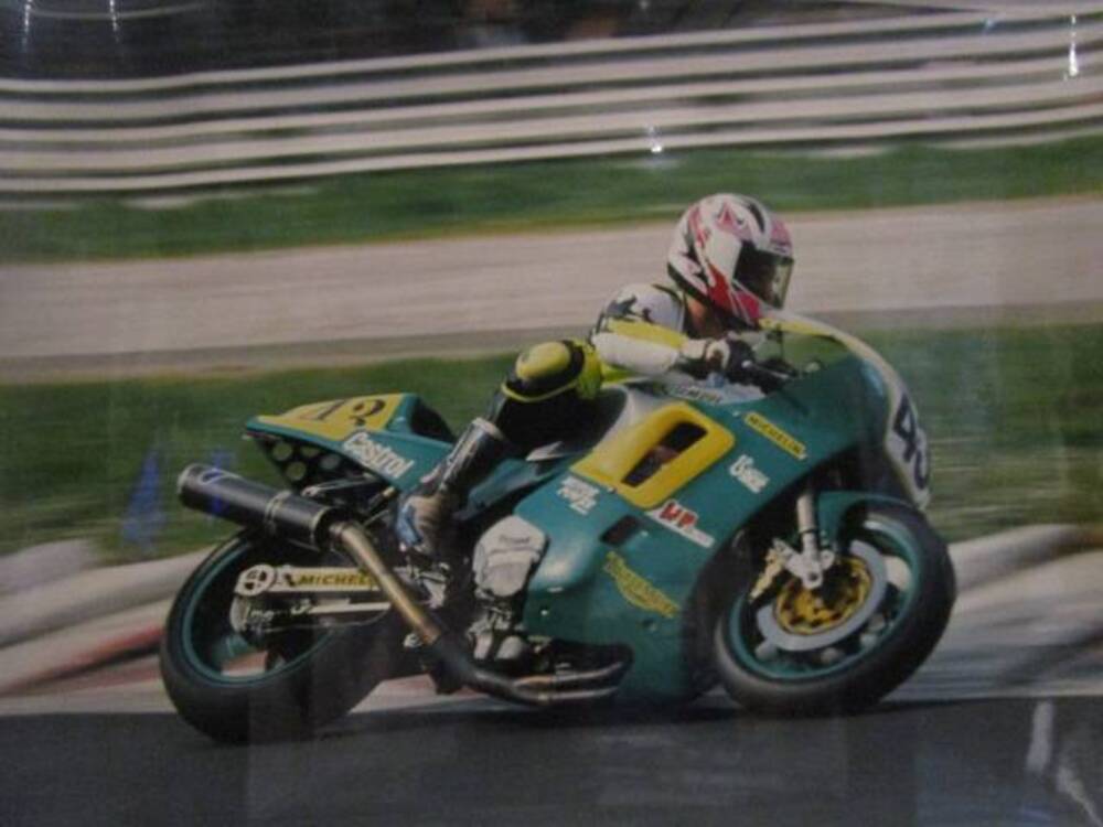 Triumph DAYTONA 900 FACTORY  (7)