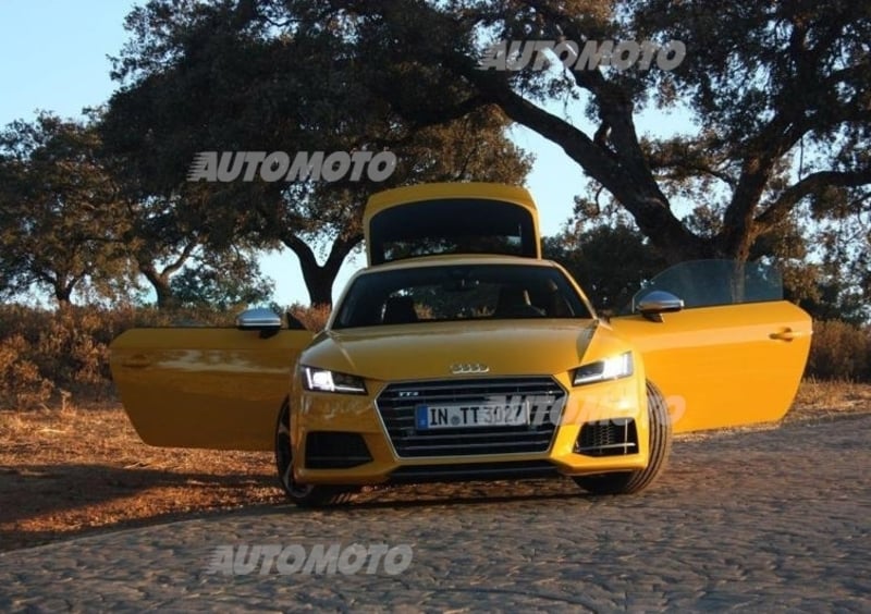 Audi TT Coupé (2014-->>) (37)