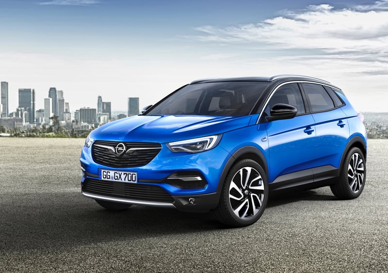 Opel Grandland X (2017-23) (7)