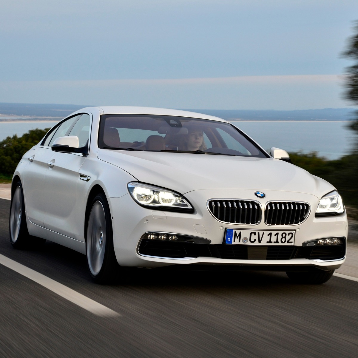 BMW Serie 6 Gran Coup&eacute;