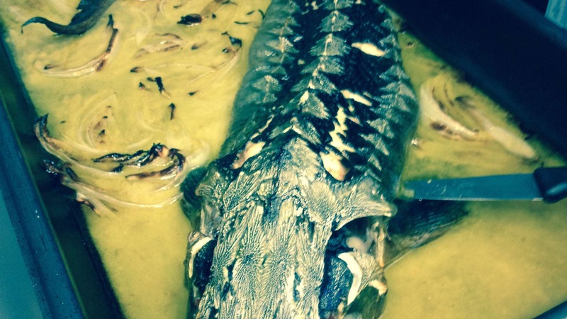 Le ricette di Guerini: fette di storione con salsa alla cipolla e funghi