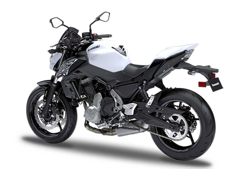 Kawasaki Z 650 Z 650 Performance (2019 - 20) (4)