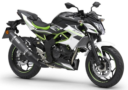 Kawasaki Z 125 Performance (2019 - 20)